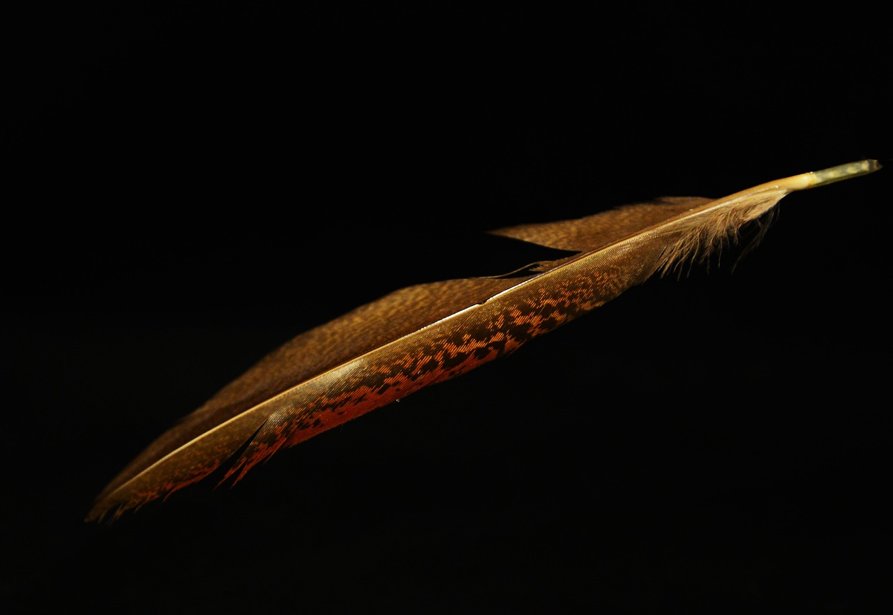 Maximizing Your Space with Material Consultation